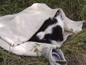 BenBravery02 090.jpg